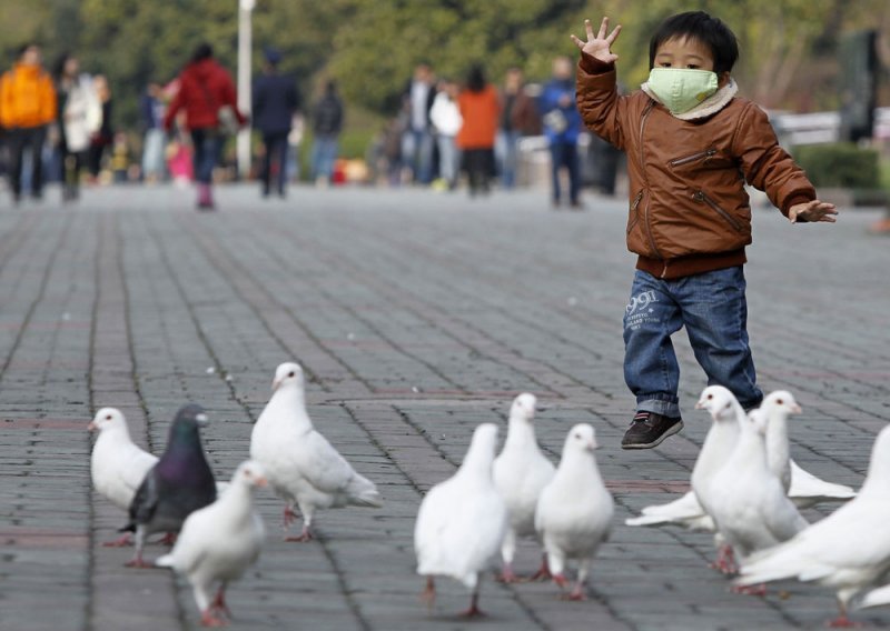Ptičja gripa H7N9 prvi put prenesena među ljudima!
