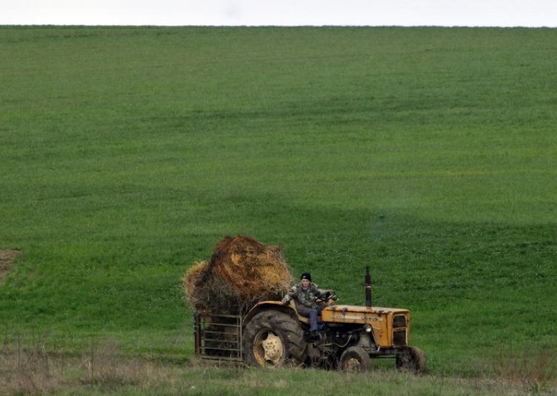 Dekanica: Stanje je najgore od Drugog svjetskog rata