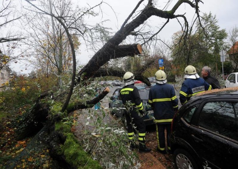 Orkanski udari bure rušili stabla po Splitu