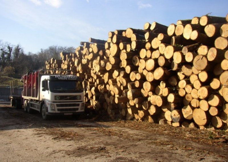 Otvoren natječaj za ulaganja u preradu drva vrijedan 147 milijuna kuna