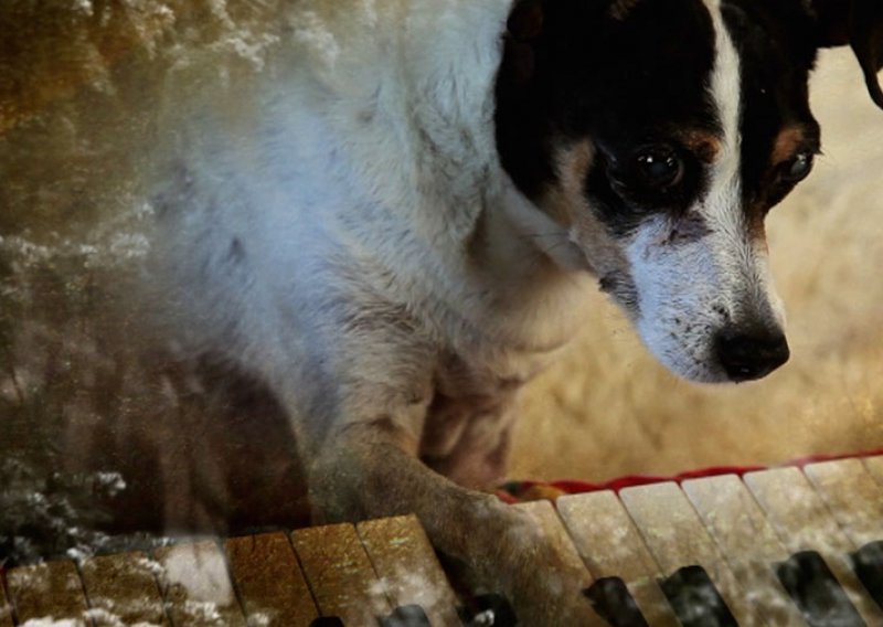 Laurie Anderson, Kossakovski, Rosenblatt i Třeštíkova na Majstorima doxa