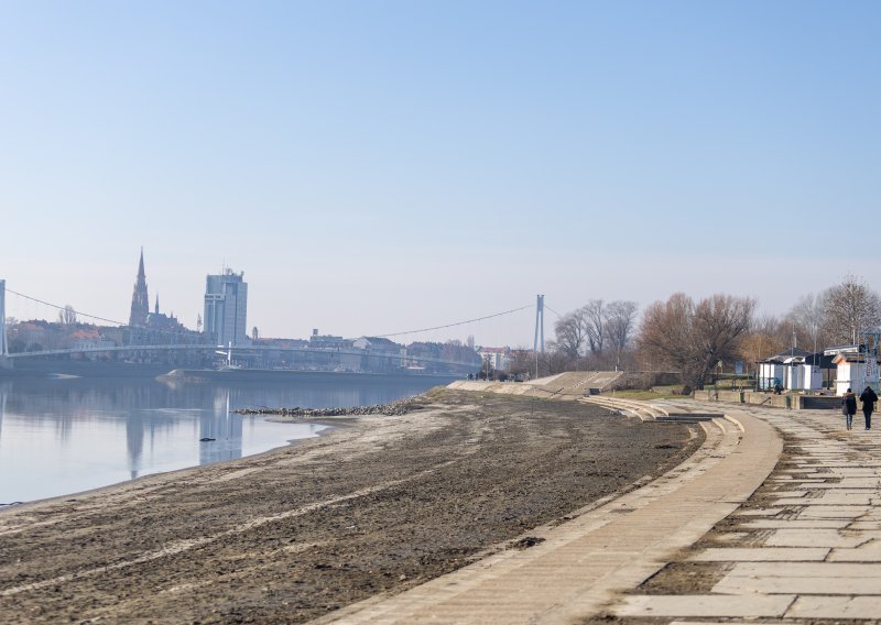 Bizarno: Netko u Osijeku krade tek posađena stabla