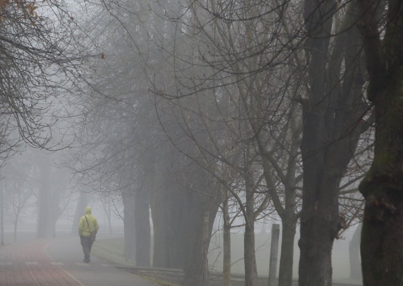 Žetva magle: Znanstvenici objasnili kako spasiti sušna područja