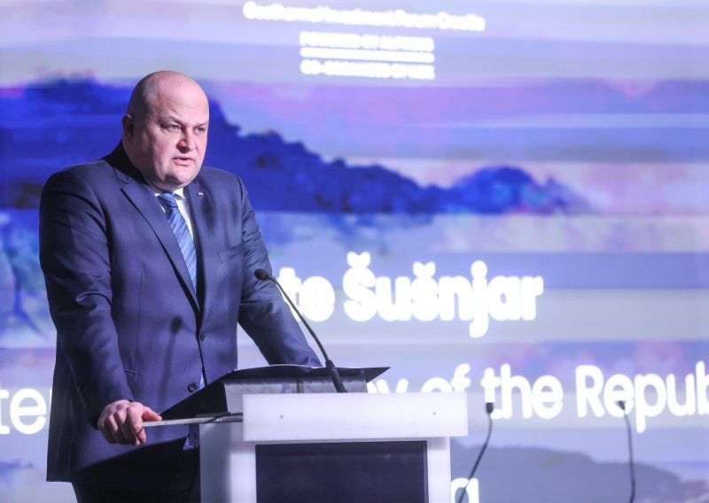 Šušnjar želi da Janaf preuzme udjele u NIS-u: Odgovor iz Srbije nije došao
