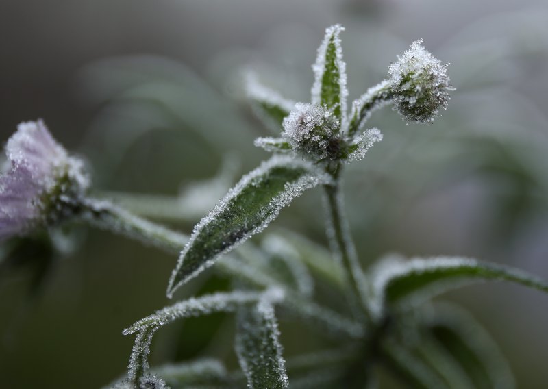 Najavljen novi snijeg: Evo koji će dan biti najhladniji i kad se vraćaju proljetne temperature