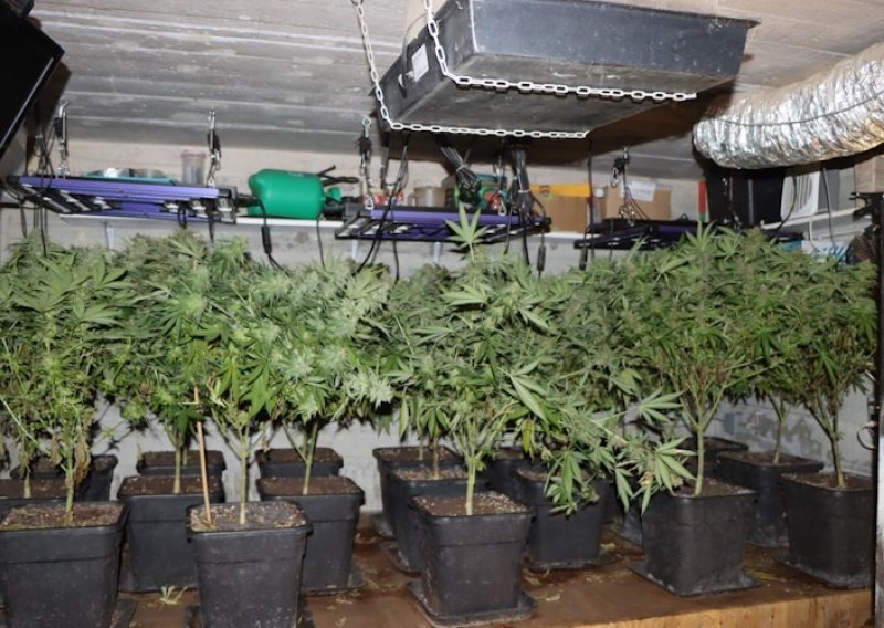 Policija pretražila podrum u Sesvetama; pao muškarac s laboratorijem marihuane