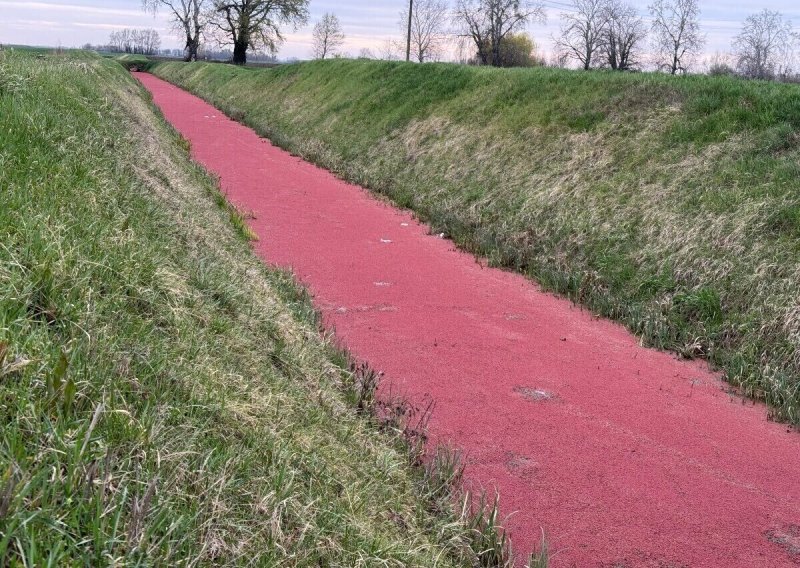 'Krvavi' kanal u Baranji; stručnjakinja objasnila o čemu se radi