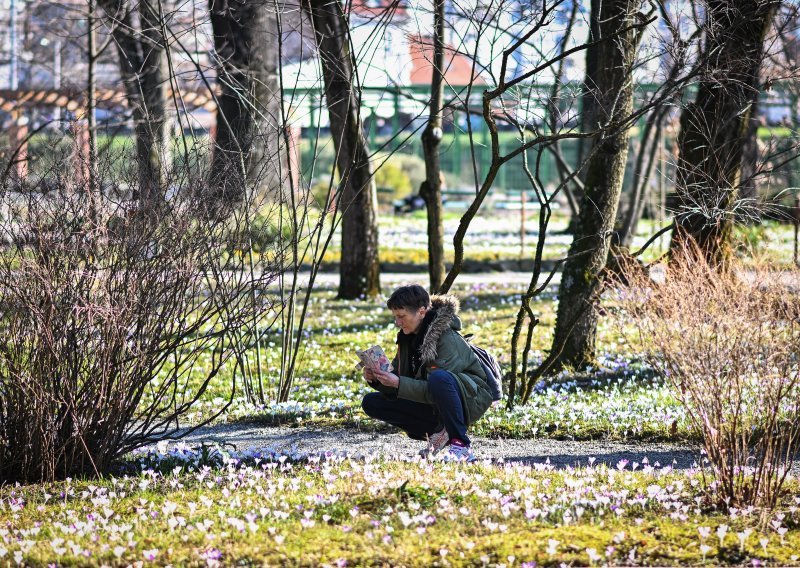 Želite brati proljetnice? Oprez! Prijete vam paprene kazne