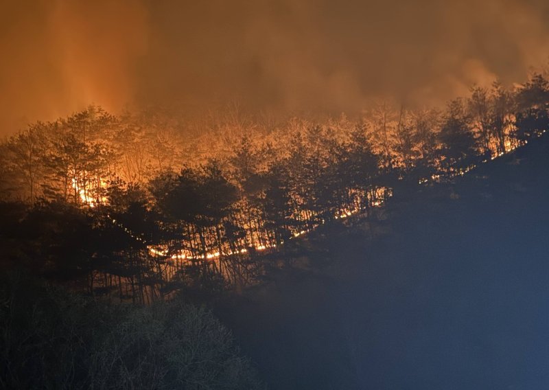 Najmanje 28 poginulih u šumskim požarima u J. Koreji: 38 tisuća stanovnika evakulirano