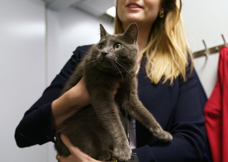 Mačka Sophie izazvala metež u Bijeloj kući, završila u sobi za brifinge