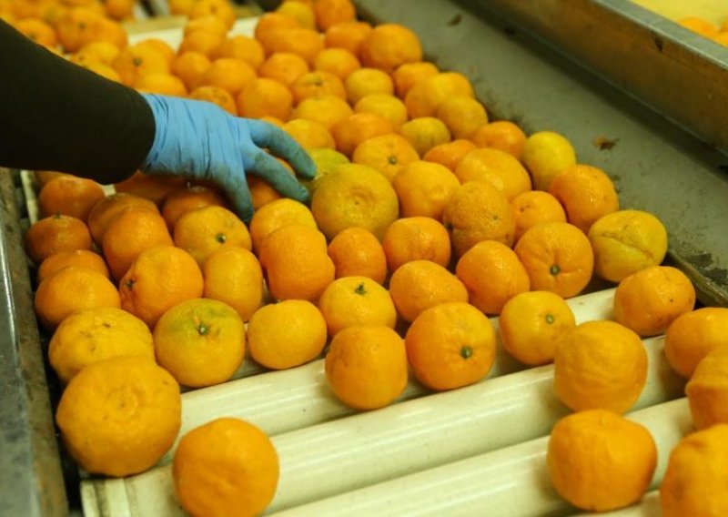 Jakovina oštro odgovorio proizvođačima mandarina