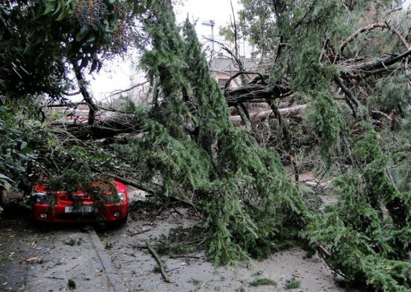 Rezao stablo pa krošnja pala na auto, tri žene ozlijeđene