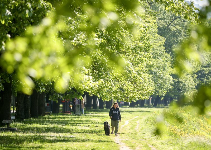 Ozbiljno prijete šetačima u prirodi: Izgledaju bezopasno, ali nije baš tako...