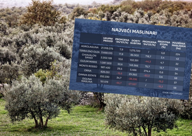 Tko su najveći hrvatski maslinari i kako posluju
