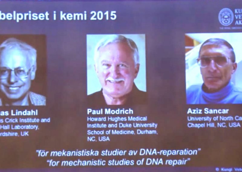 Nobel za kemiju istraživačima popravaka na DNK