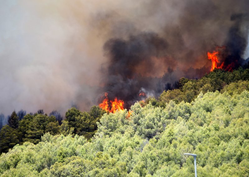 Lokaliziran požar kod Šibenika, kuće nisu ugrožene
