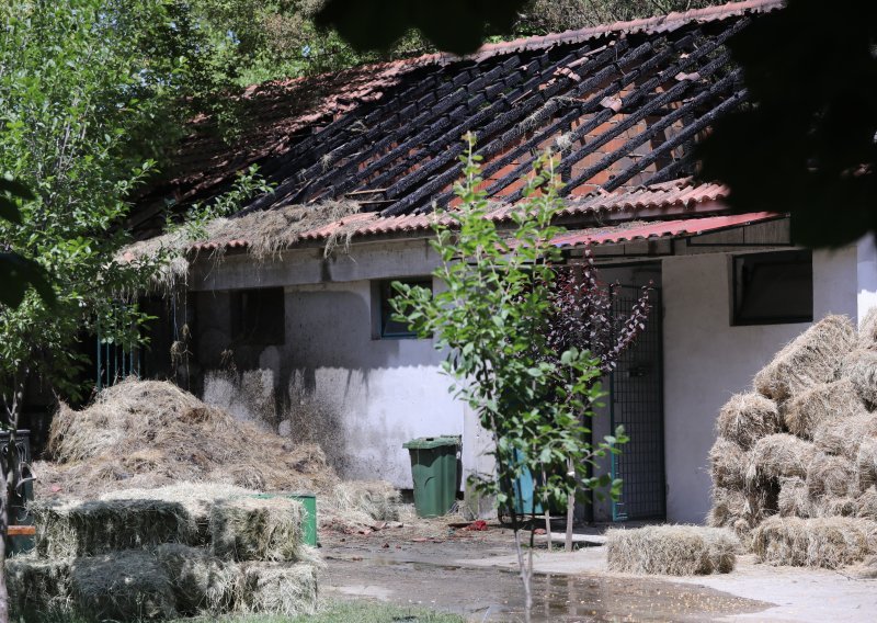 Gorjelo na sinjskom hipodromu: Sada se zna kako je došlo do požara