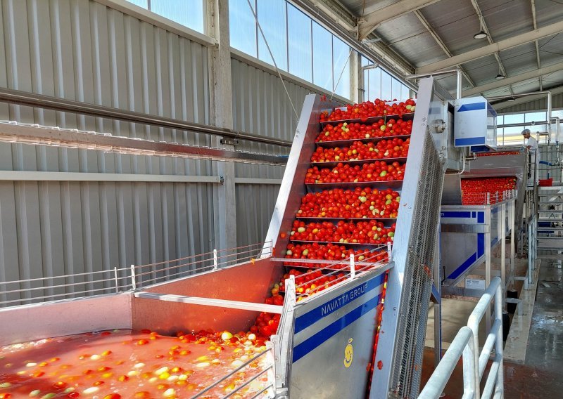 Podravci stiže paprika iz Srbije: Zanimljivo je tko ju zapravo proizvodi