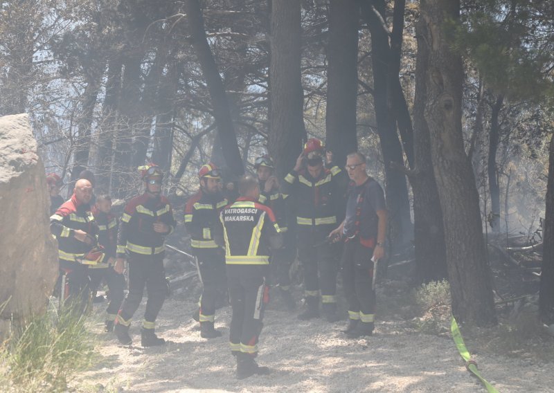 Vatrogascu opečeno lice, 10 ljudi tražilo pomoć liječnika: 'Dobili su rane dok su bježali'