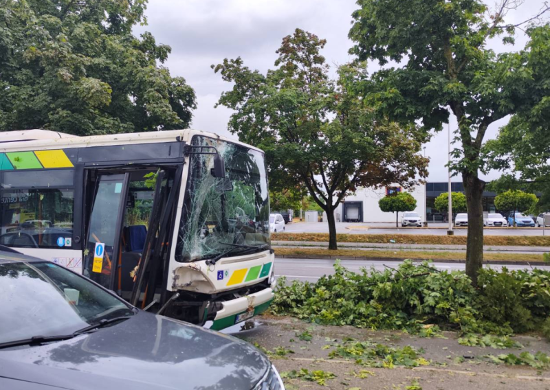 Nevrijeme u Ljubljani iščupalo stablo: Palo na autobus pun ljudi