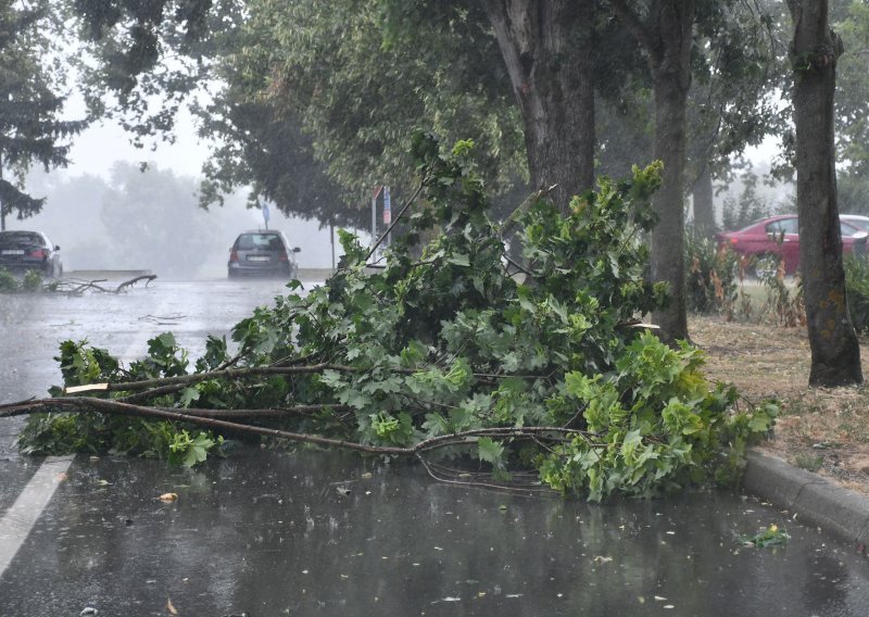 U Sesvetama pola dana uklanjali 25-metarsko stablo, na kuću kod Vinkovaca pao elektrovod