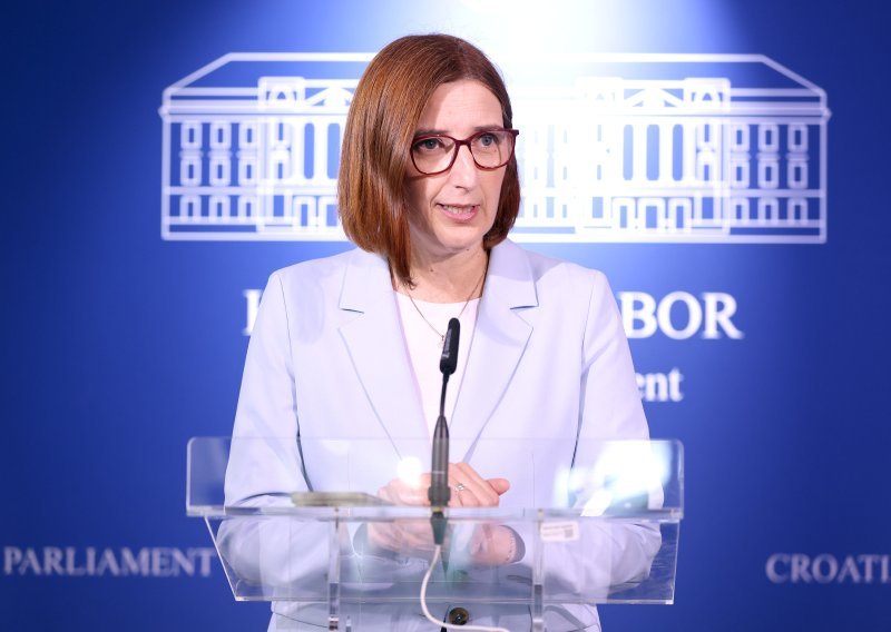 Puljak: Raspravlja se o Hrvatskim šumama, a nemam ni jednog DP-ovca
