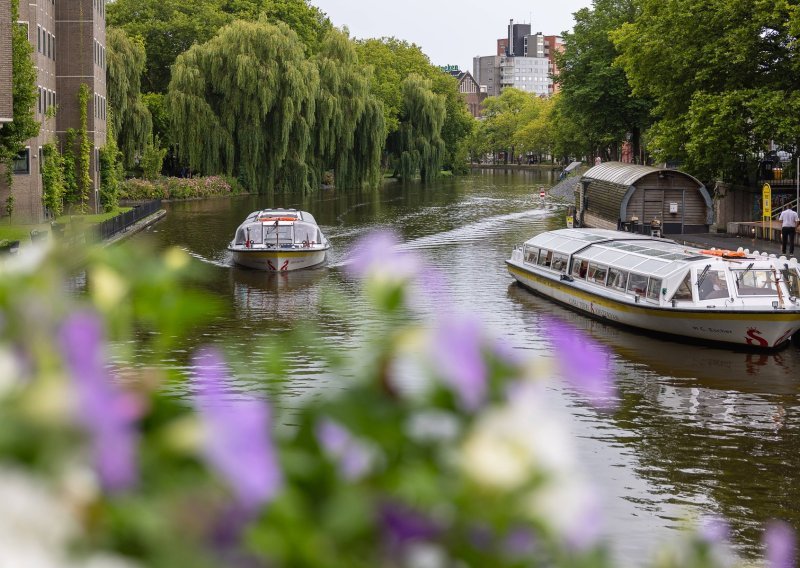 Amsterdam odlučio riješiti problem utapanja mačaka: Počinje gradnja stuba u kanalima