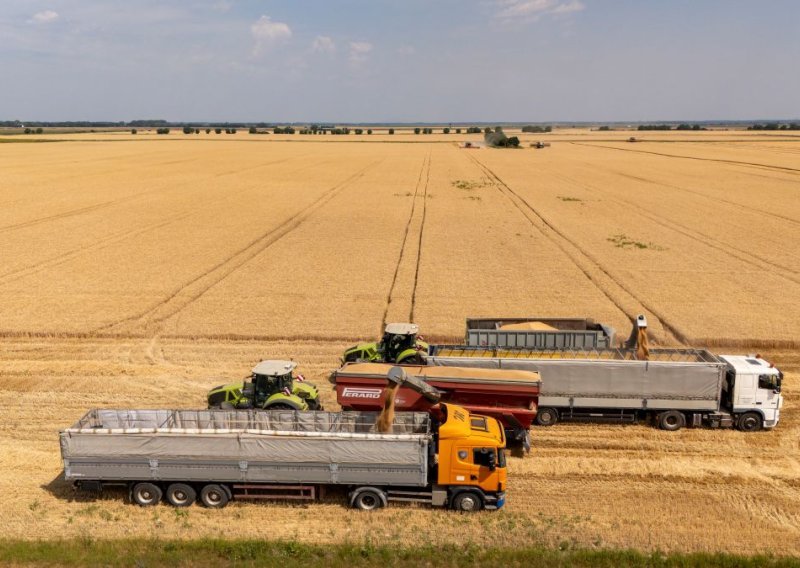 Žito grupa završila žetvu: Klimatske prilike sve su izazovnije