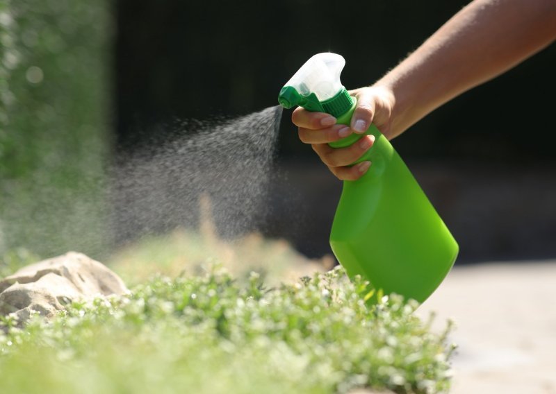 Prirodni pesticidi za vaš vrt – evo što treba znati