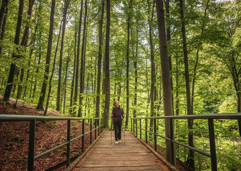 Tražite spas od vrućine? Zagrebački šumari otkrili lokacije koje će vas najbolje osvježiti