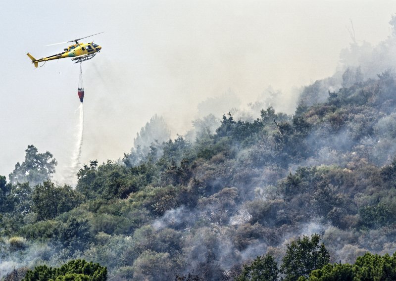 Evakuacije zbog požara na jugu Španjolske: Brzo se širi zbog snažnih vjetrova