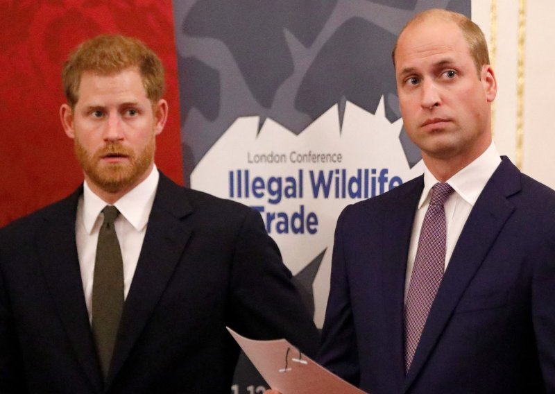 Ovo je pravi razlog zbog kojeg William i Harry neće naslijediti dom njihove majke