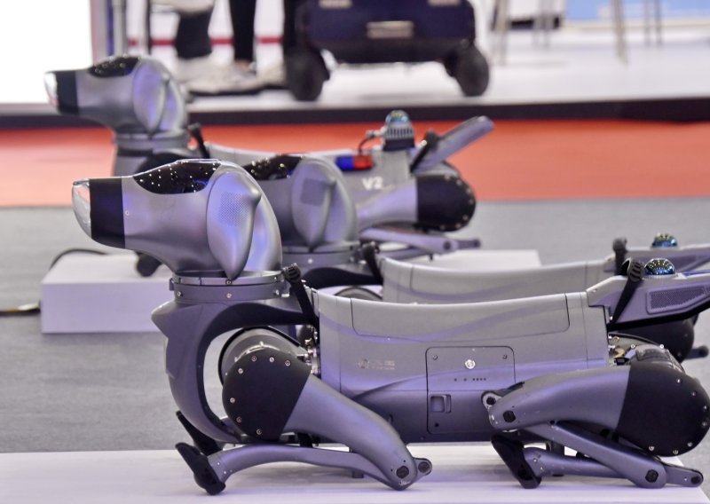 Robotski pas u Meksiku trči, šeće, razgovara, ali i podiže svijest o pravima životinja