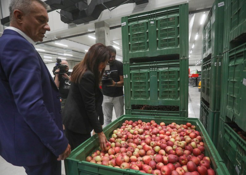 Osječki Distribucijski centar za voće i povrće radi punom parom: 18 ugovora s proizvođačima