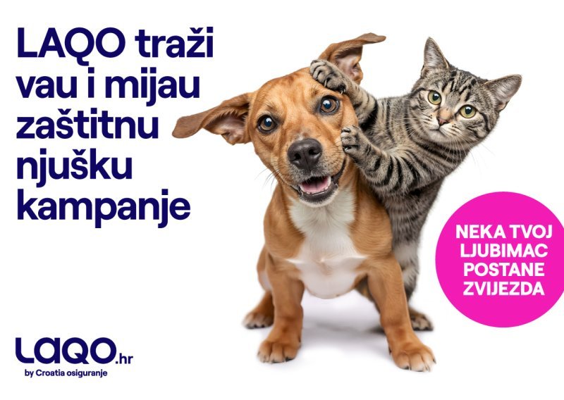 Tko će biti glavne njuške u gradu: LAQO traži nove zvijezde za kampanju osiguranja kućnih ljubimaca