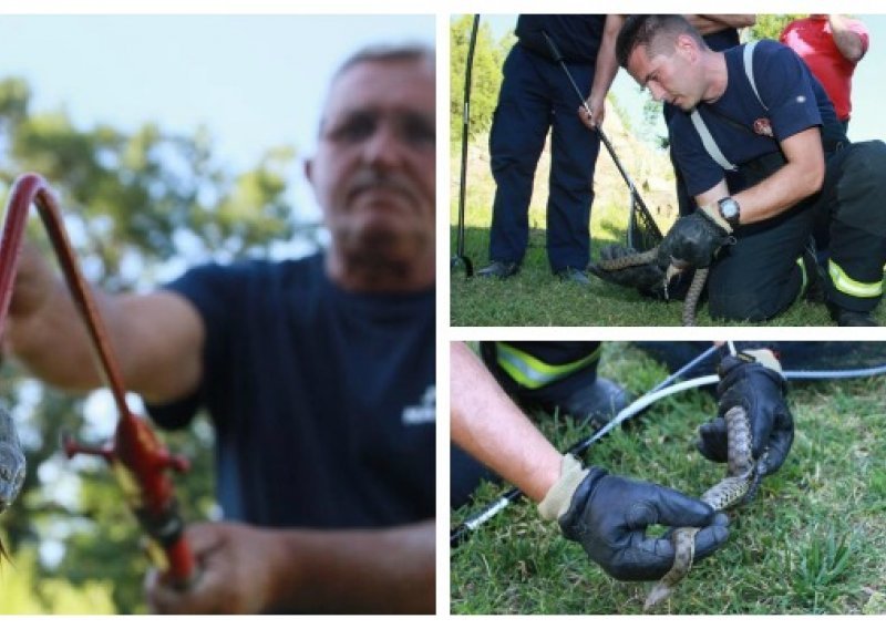 Spašavaju građane od zmija i stršljena, ali zovu ih i zbog ovih bizarnih nedaća