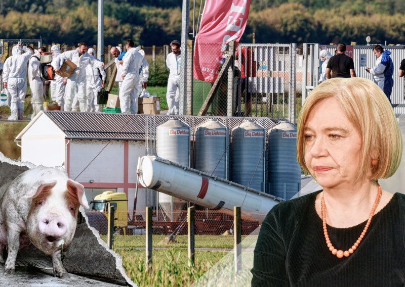 Velika farma na udaru kuge, što sad? 'Nismo bili dovoljno čvrsti, ali...'