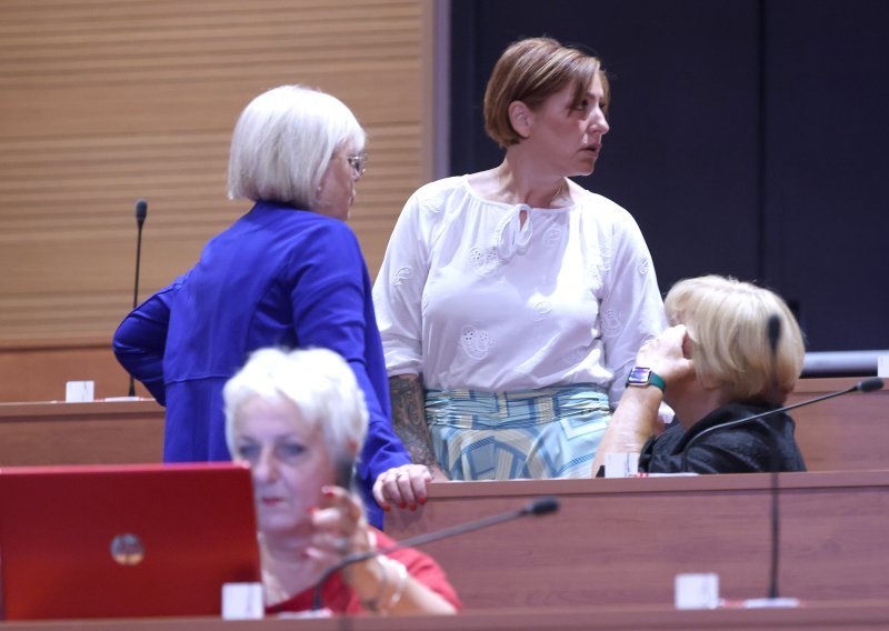 Zastupnica zavapila u Saboru: 'Takva situacija nije dugoročno održiva'