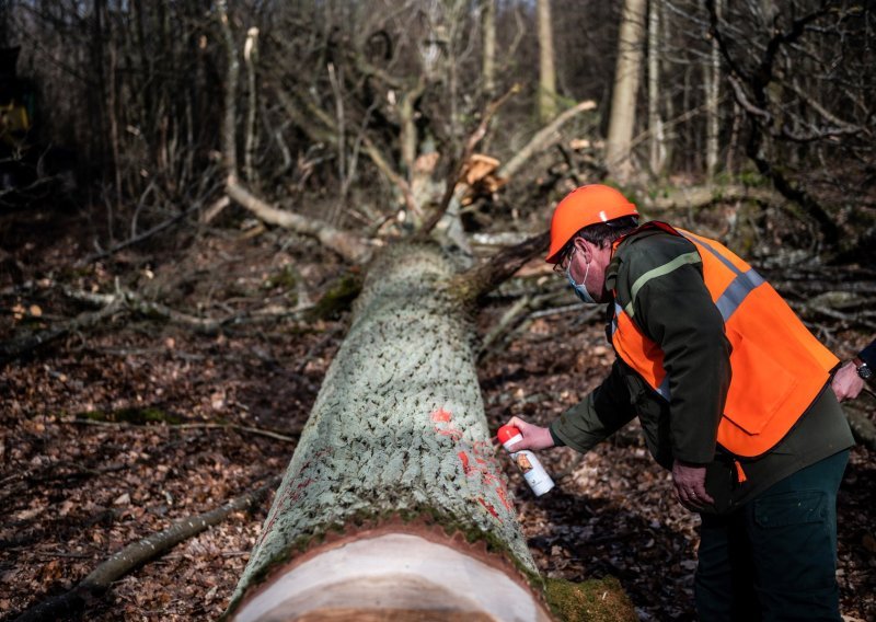 Domaća industrija ostaje bez 150 milijuna eura godišnje? Ključan program treba promijeniti
