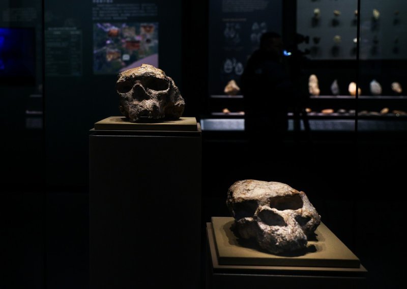 Pronađena ljudska lubanja stara milijun godina: Ovo mijenja povijest evolucije