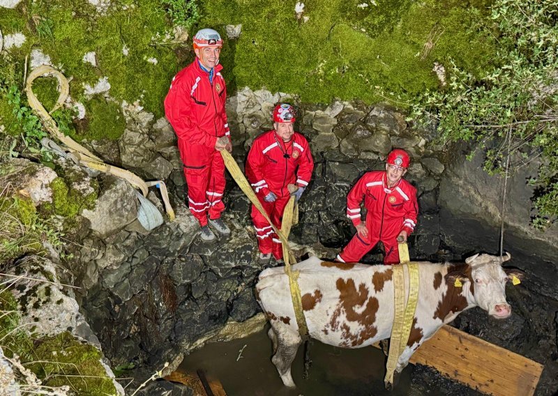 Kakva akcija HGSS-a! Spasili 'četveronožnu planinarku' koja je upala u bunar