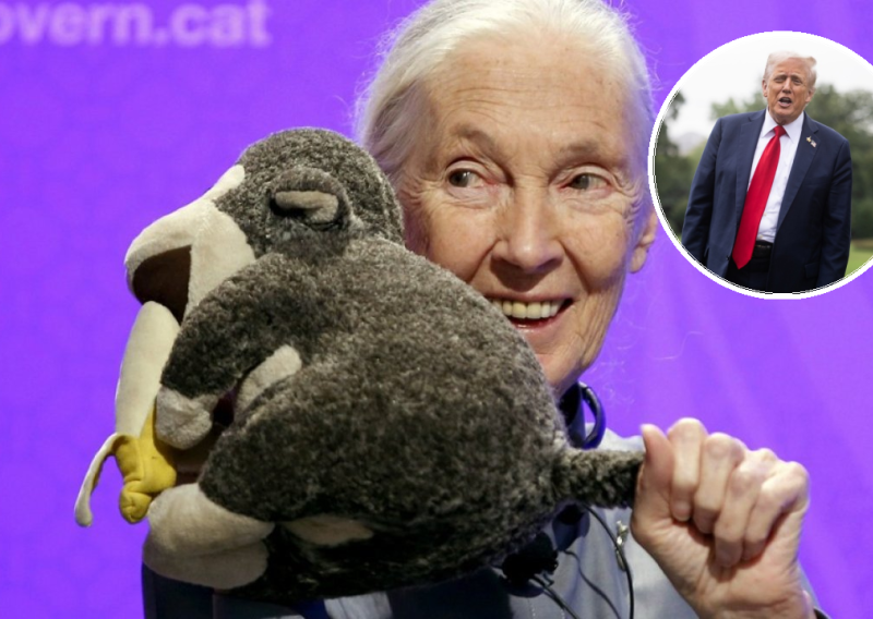 Bila je genijalna: Pogledajte što je Jane Goodall jednom prilikom rekla o Donaldu Trumpu