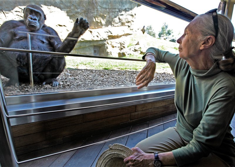 Kako je Jane Goodall zauvijek promijenila način na koji promatramo prirodu, ali i same sebe