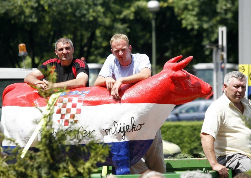 'Naše mlijeko završava preko granice, a domaći ljudi piju smeće'