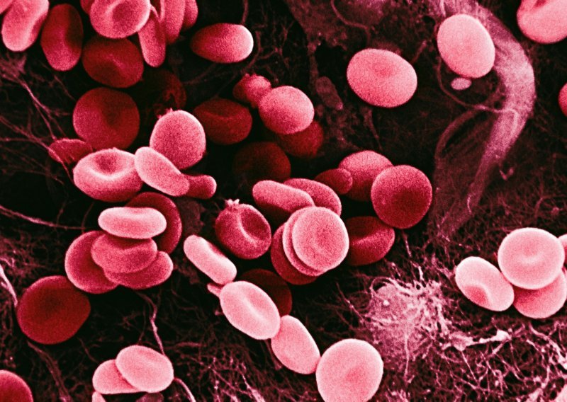 Znanstveni proboj: Ljudski embrij uzgojen u laboratoriju proizveo krvne stanice