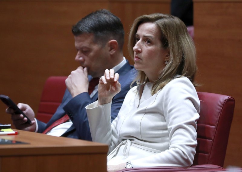 Ahmetović oštro po Šušnjaru: DP ne smije ni zucnuti Plenkoviću protiv Martine Dalić