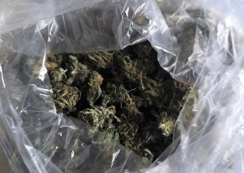 Kod dilera u Orehovici pronađeno više od 6,5 kg marihuane i oružje