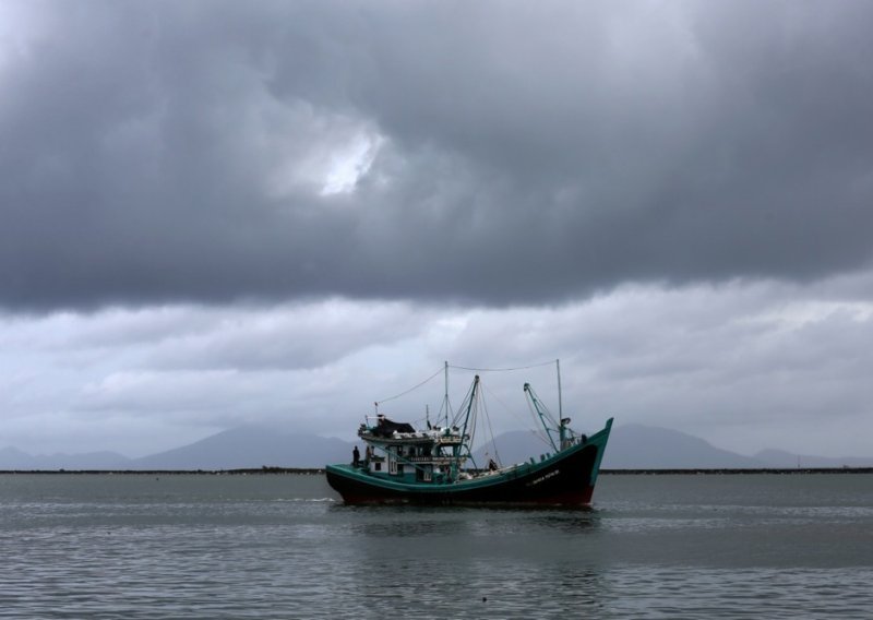 Sa zatopljavanjem oceana pada razina planktona u svijetu