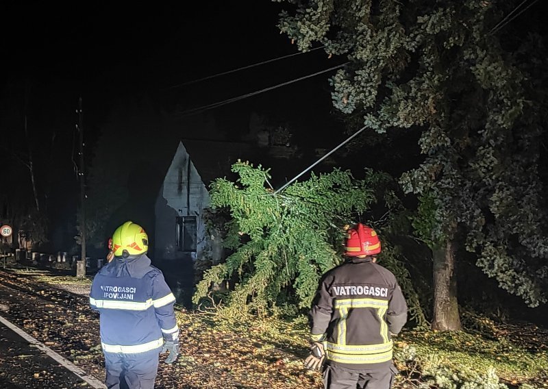 [FOTO] Nevrijeme pokosilo dijelove Hrvatske: Srušena stabla zadavala muke vatrogascima