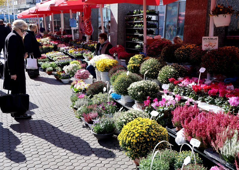 Cvjećari progovorili o cijenama cvijeća za blagdan Svih Svetih: Treba nam bolja regulacija